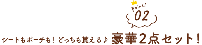 （ポイント2）シートもポーチも！どっちも貰える♪豪華2点セット!