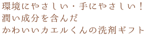 環境にやさしい・手にやさしい！潤い成分を含んだ、かわいいカエルくんの「洗剤ギフト」